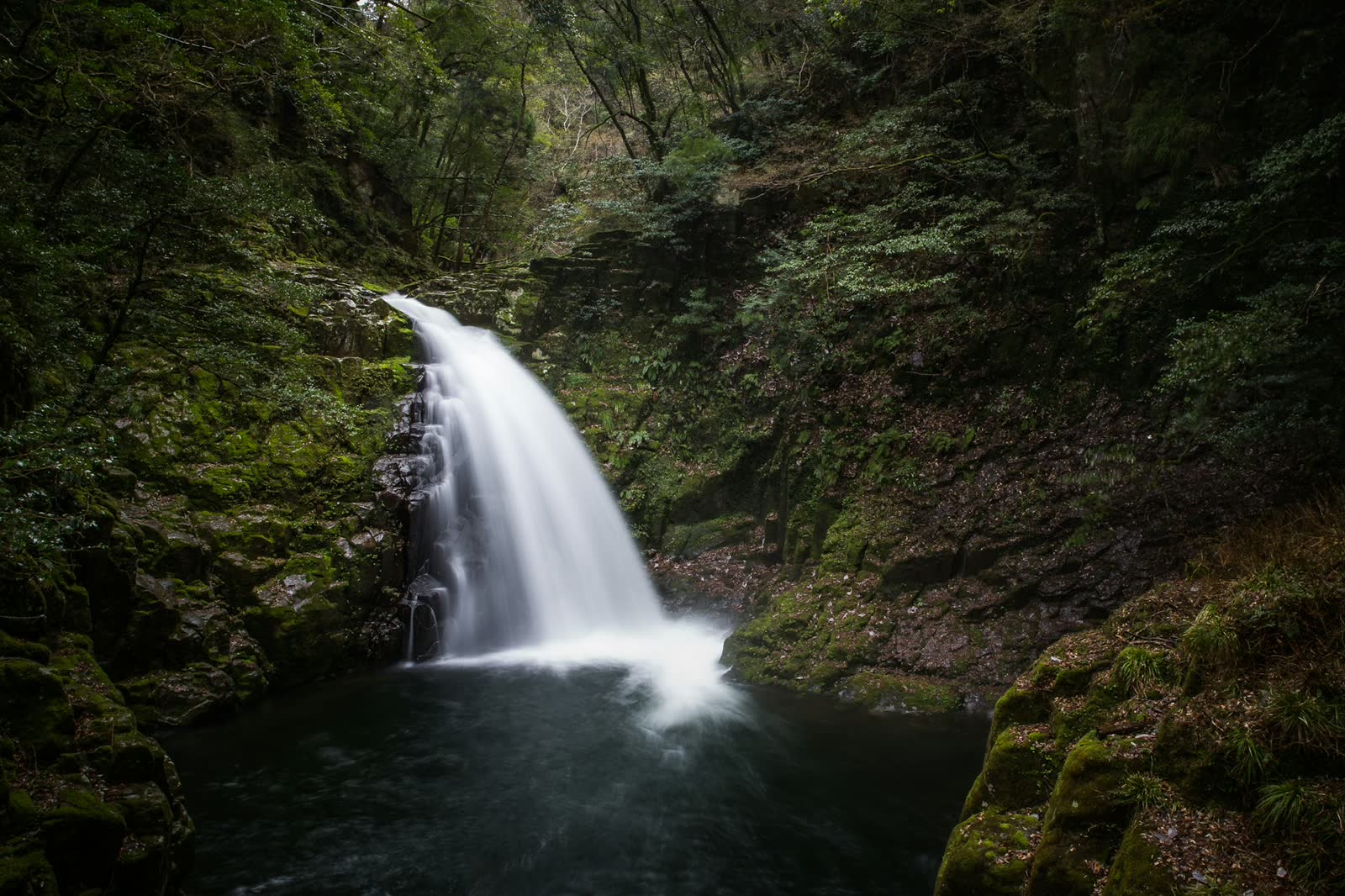 A waterfall on Japan's Akame 48 Falls trail cascading into a dark, still pool surrounded by lush forest.